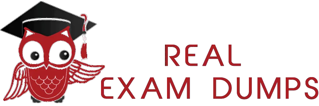 Exam MLS-C01 Revision Plan