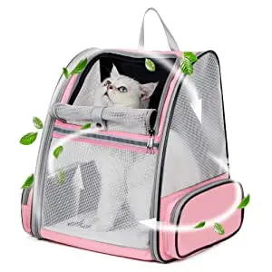 best cat carrier for walking