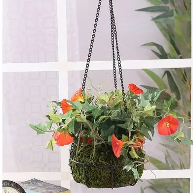 hanging plants for balcony