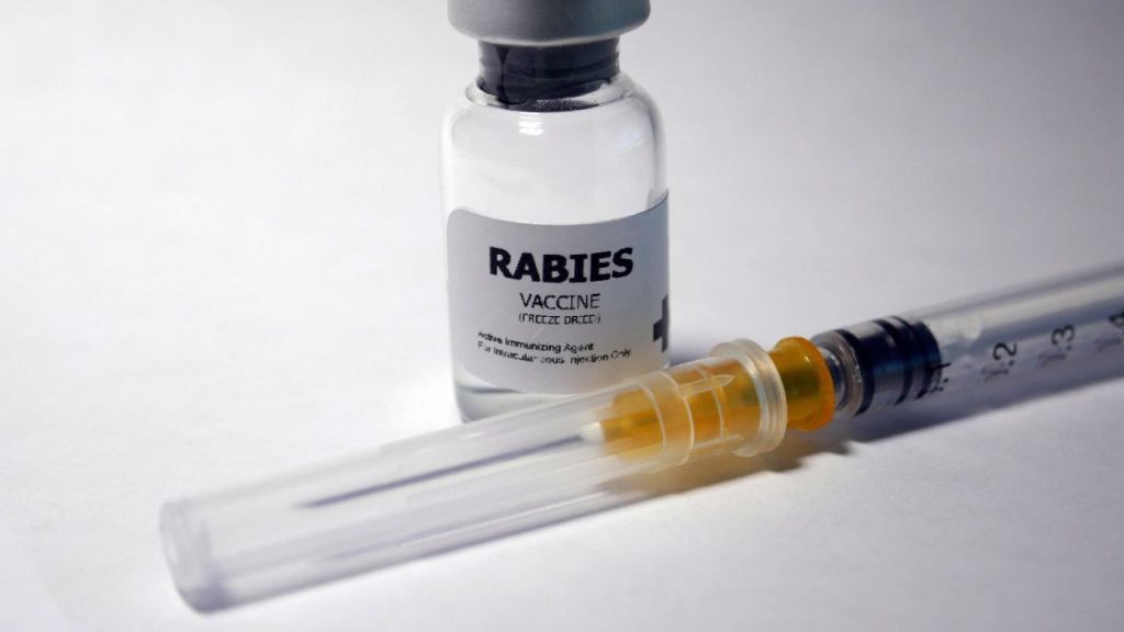 The Rabies Vaccines Market Is Being Driven By An Increase In The Number