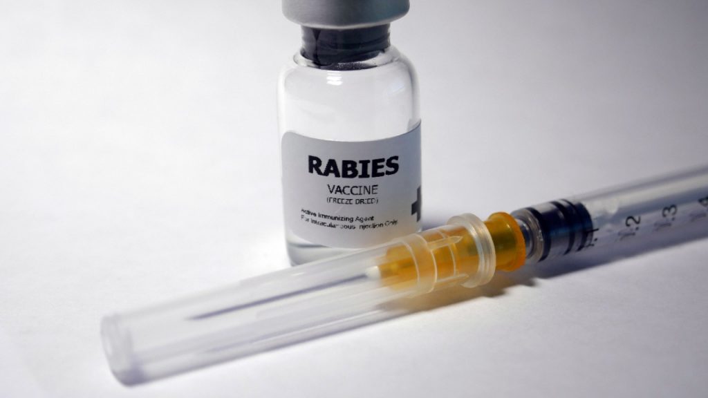 Rabies Vaccines Market