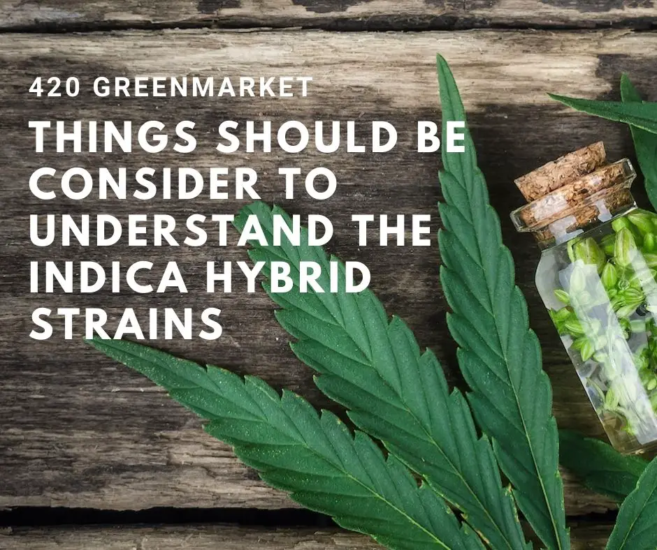 Things should be Consider to Understand the Indica Hybrid Strains