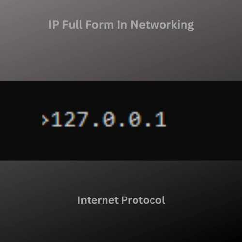 IP Full Form In Networking