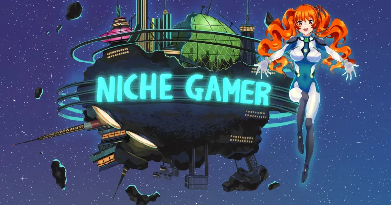 Niche Gamer