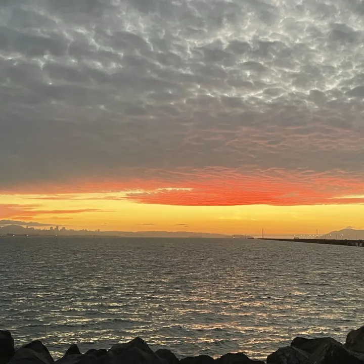 Exploring the Bay Area
