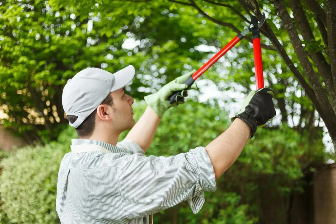 Texterra Lawn & Landscaping