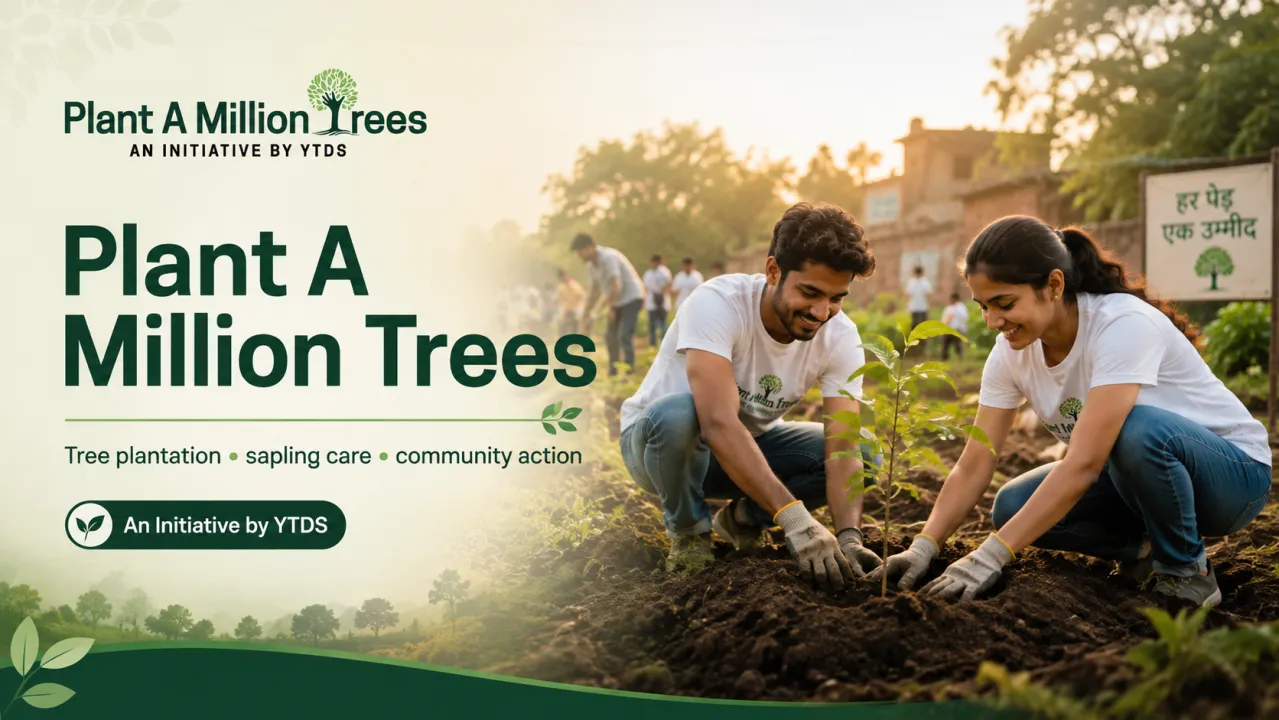 Plant a Million Trees