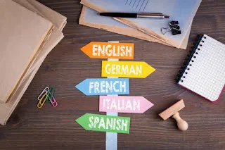 The Lingua File from TLF Translation