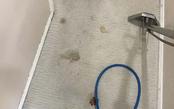 Geniecleaningca