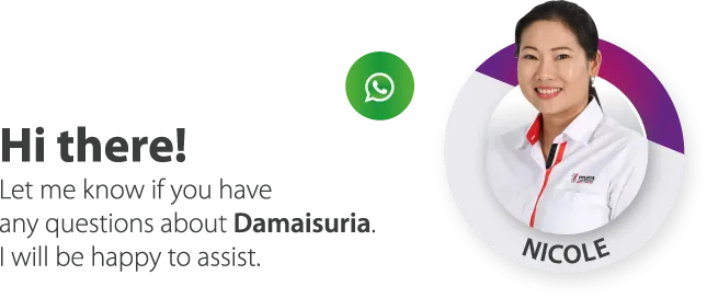 Damaisuria