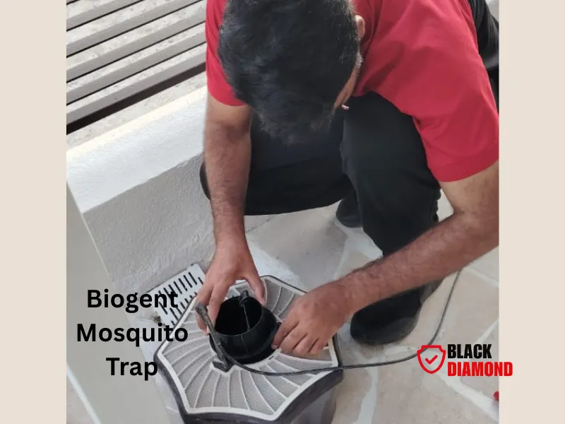 Black Diamond Pest Services