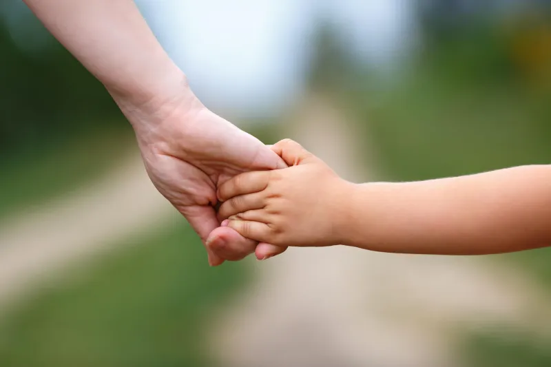 The Thoughtful Parent