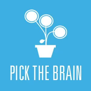 Pick the Brain — Blog on WriteUpCafe