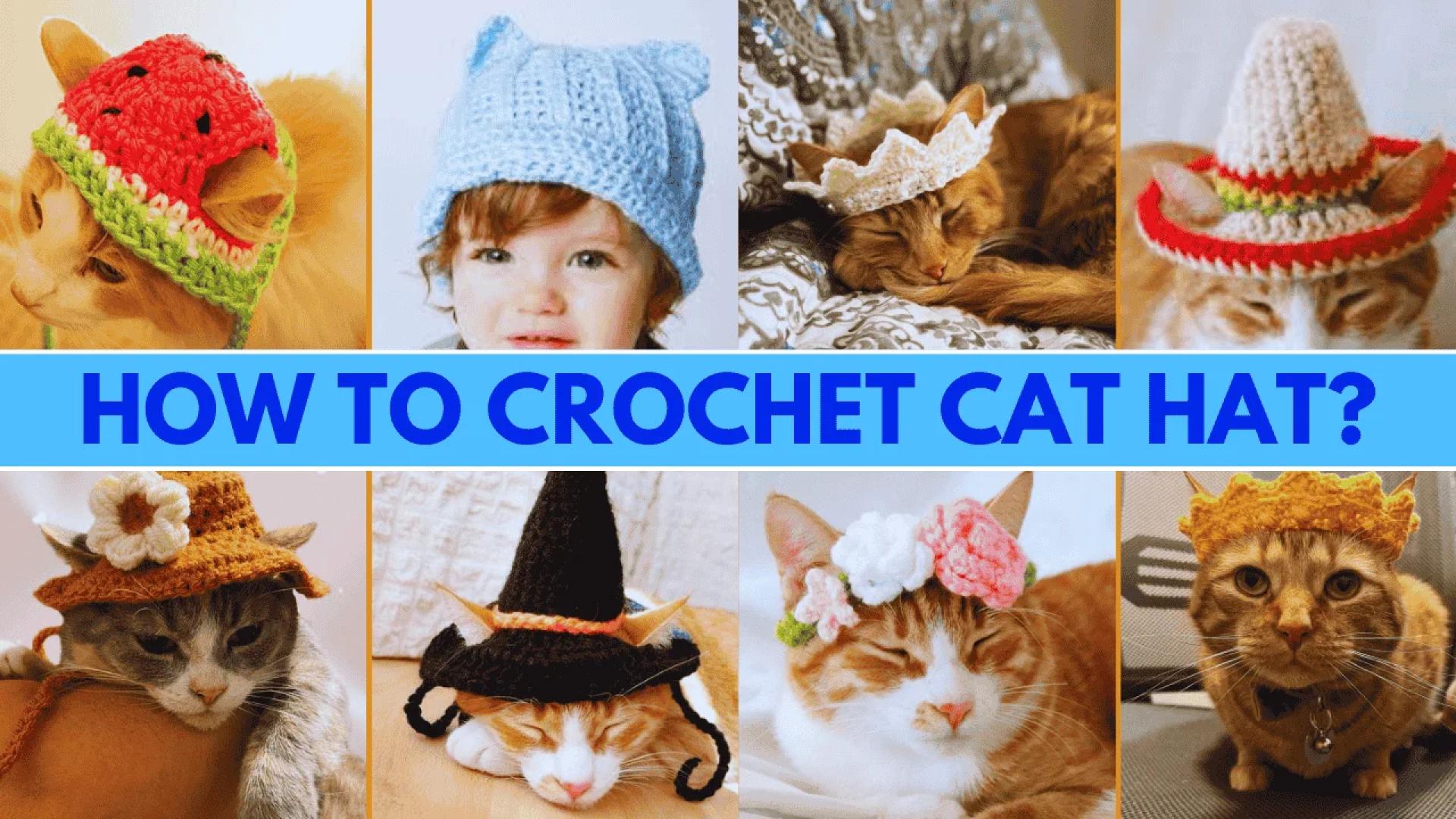 How to Crochet Cat Hat ? [ 6 Easy Steps Tutorial]