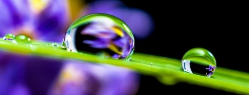 April Pad Rolls Out New Affiliate Starter Kit and Welcome Bonus