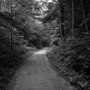 It was dark like this the other day – Random Thoughts