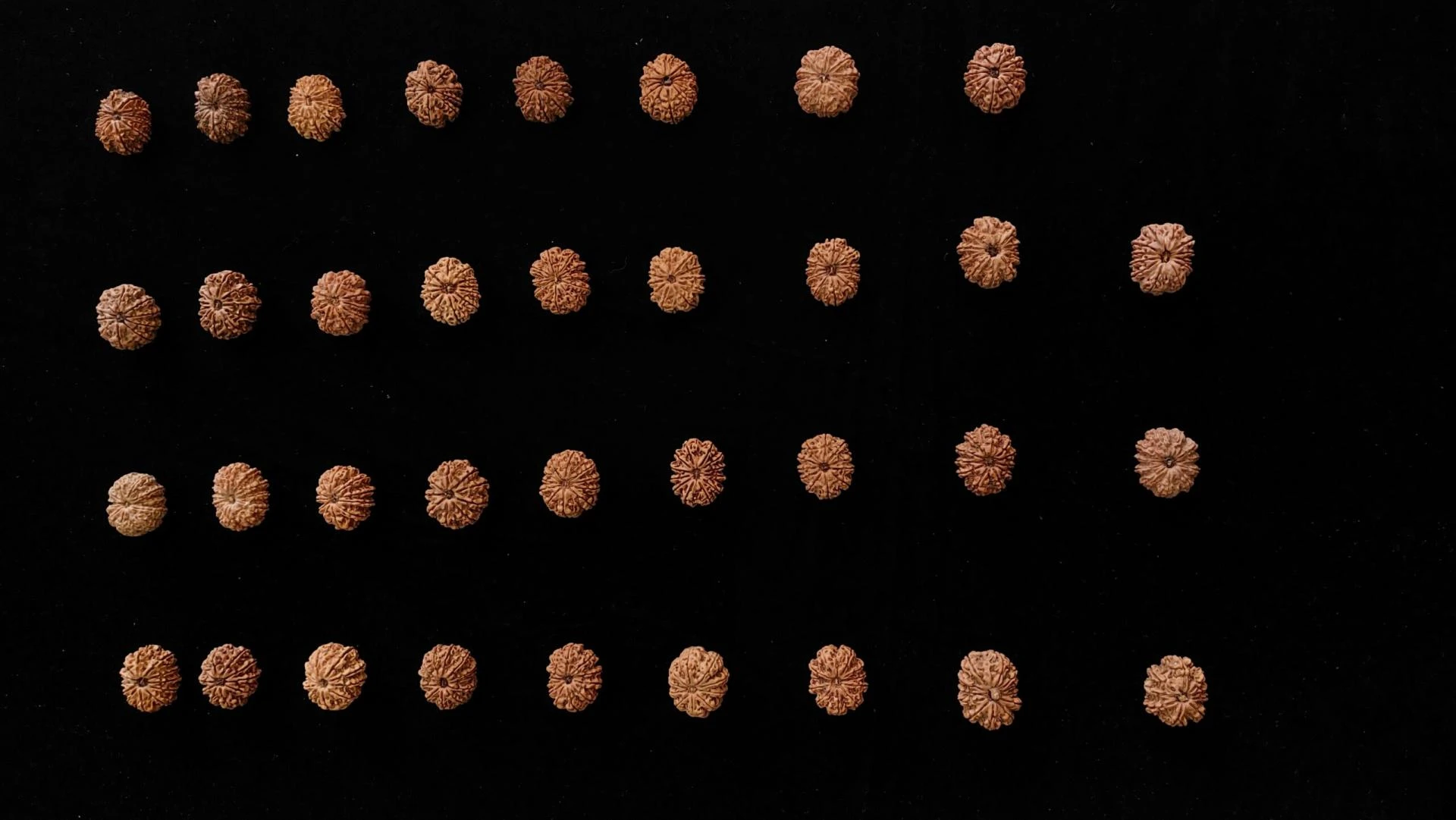 Selecting rudraksha for power and positive energy