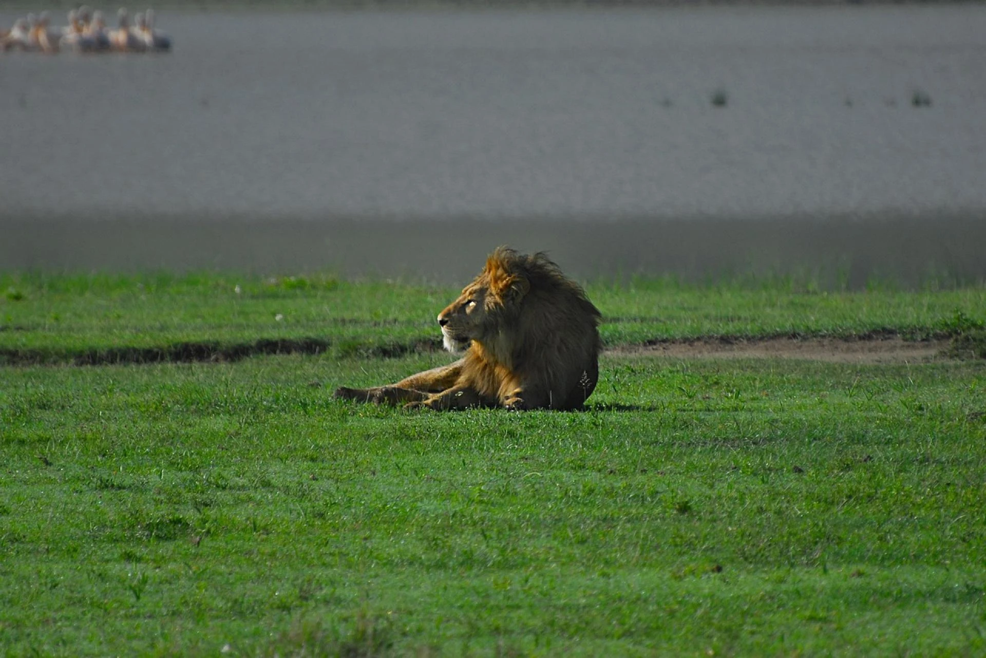 Discover the Heart of Tanzania with Face of Africa Adventures