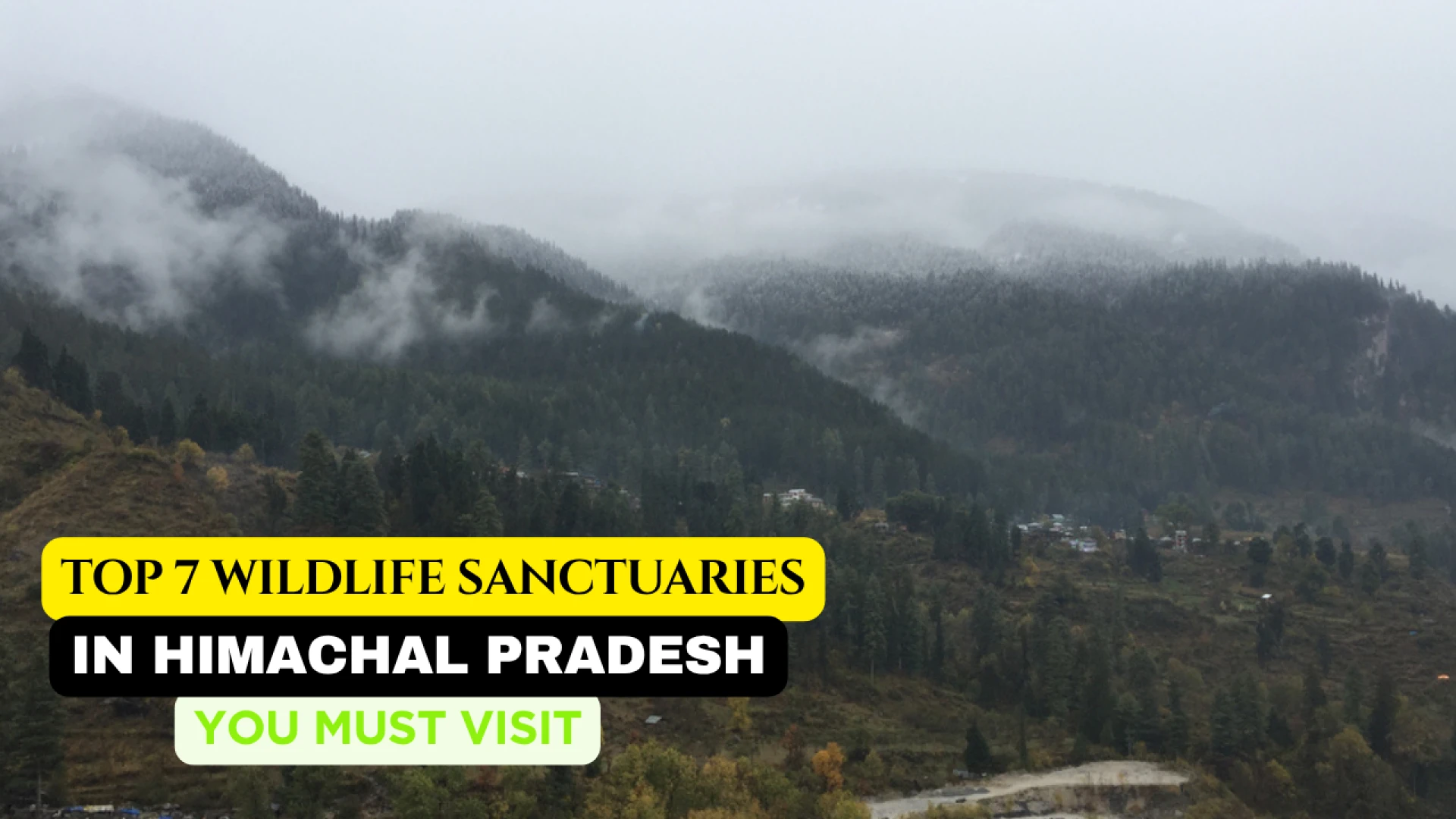 Top 7 Wildlife Sanctuaries in Himachal Pradesh You Must Explore