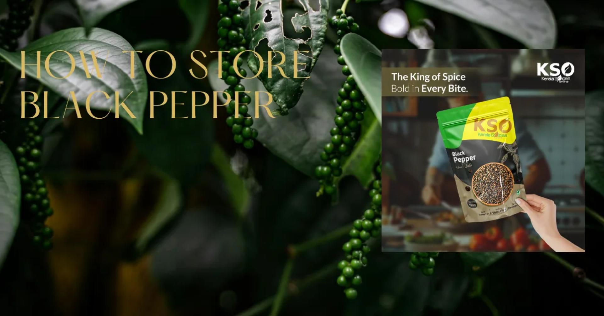 How to Store Black Pepper for Maximum Freshness and Flavour