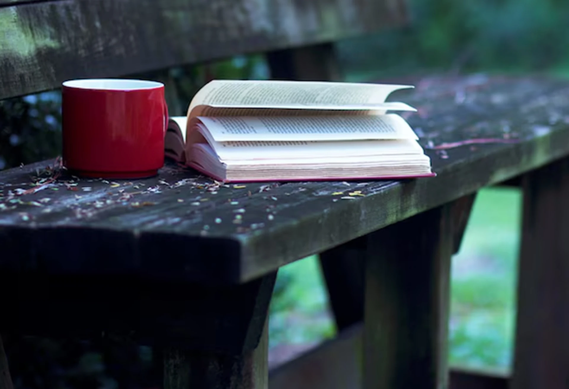 Exploring Faith Through Stories: Spiritual Journey Books Worth Reading This Year