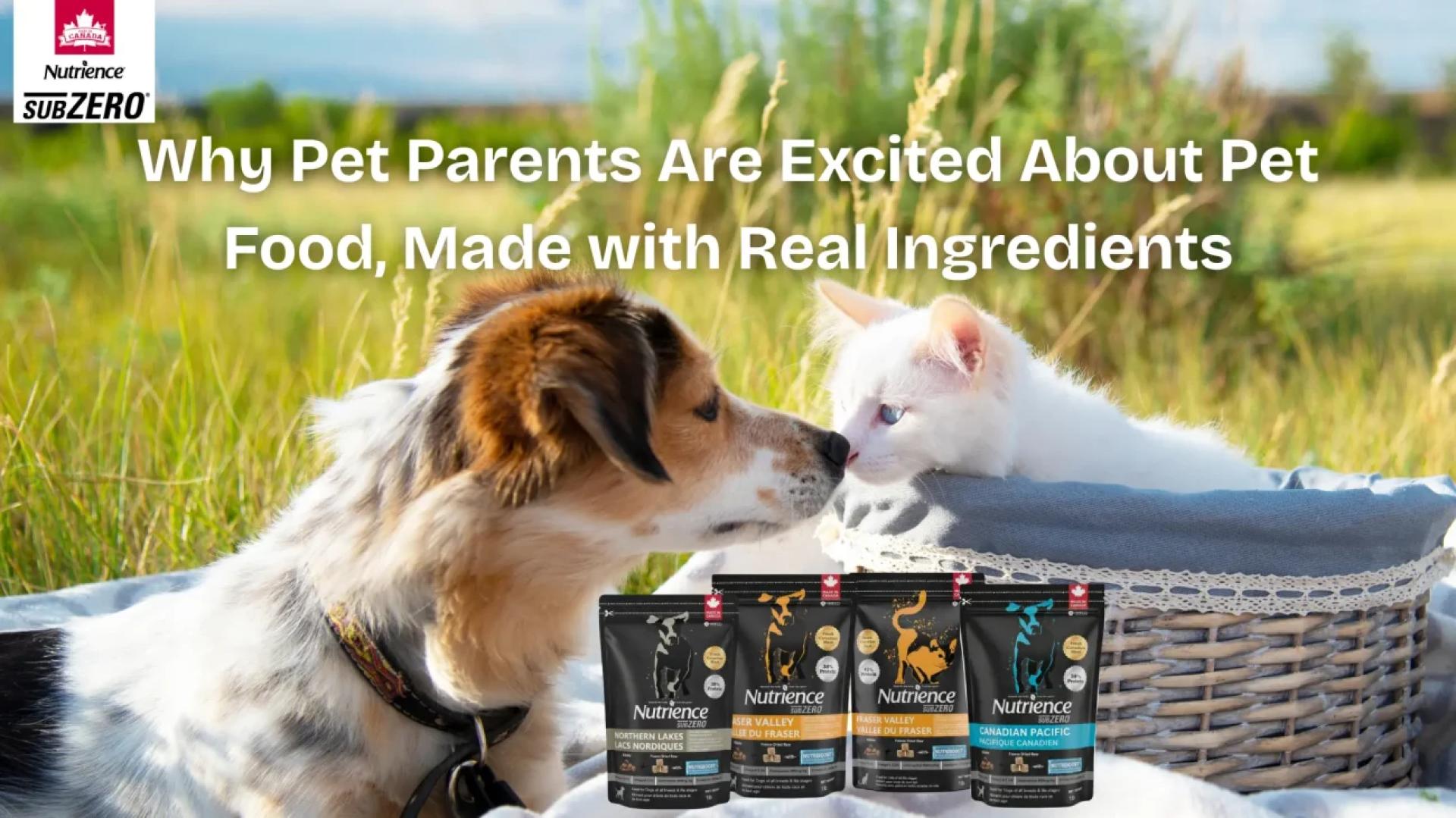 Dog Food: Why Pet Parents Love Nutrience — Shop Now