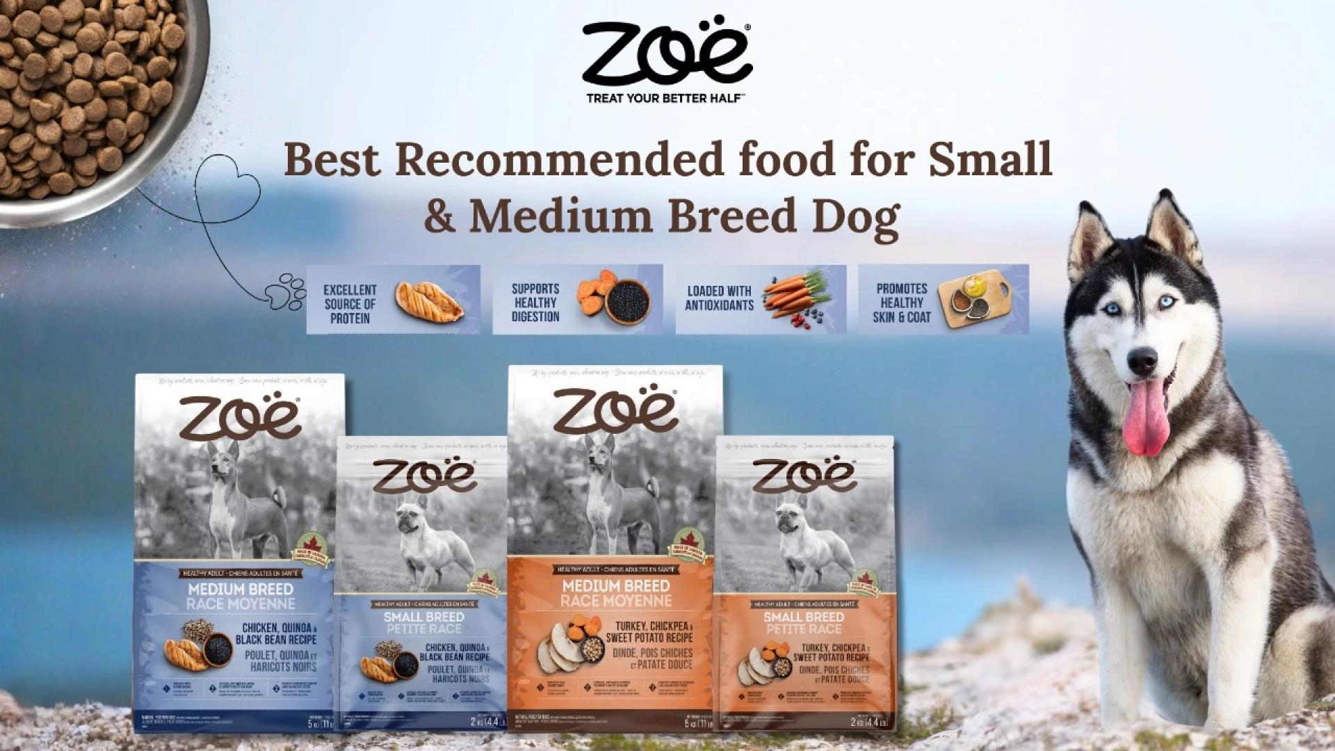 Shop Now Premium Dog Food in India – Zoe made with a Care