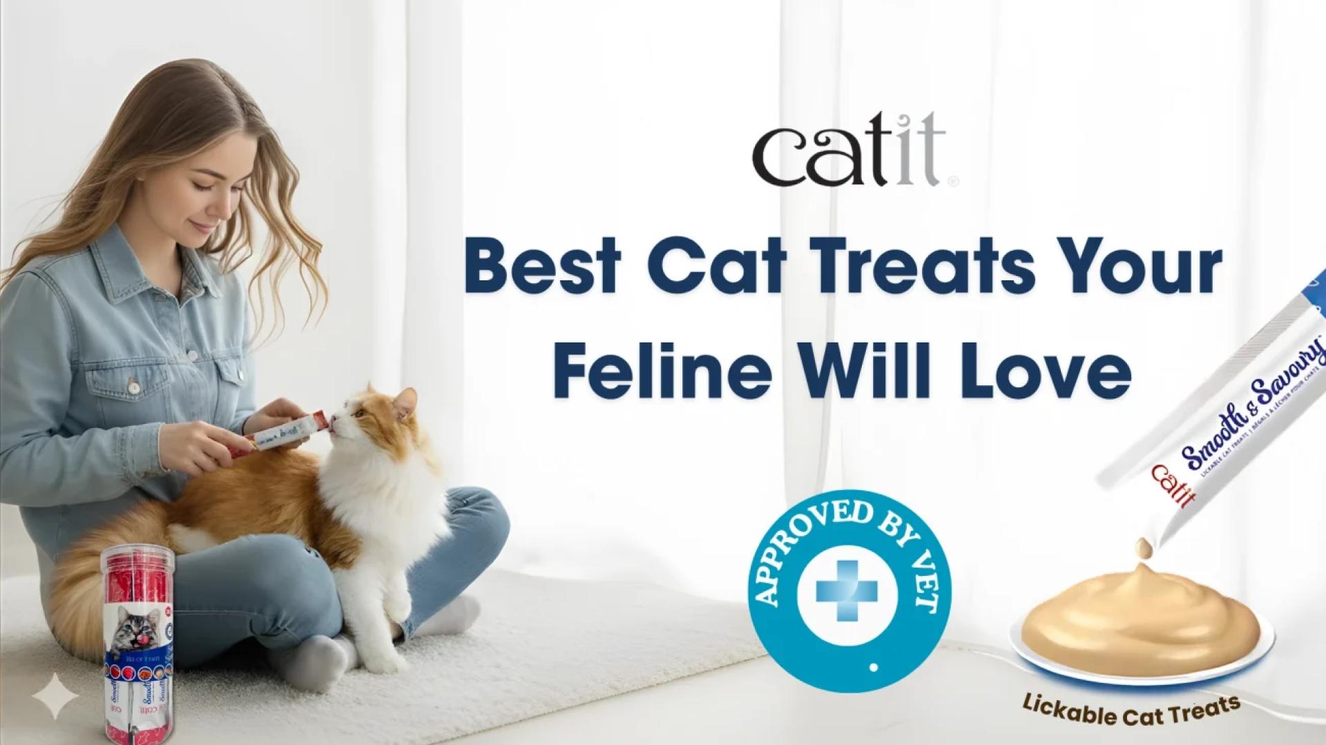 Cat Treats Guide Daily Limits & Vet Approved Healthy Choices