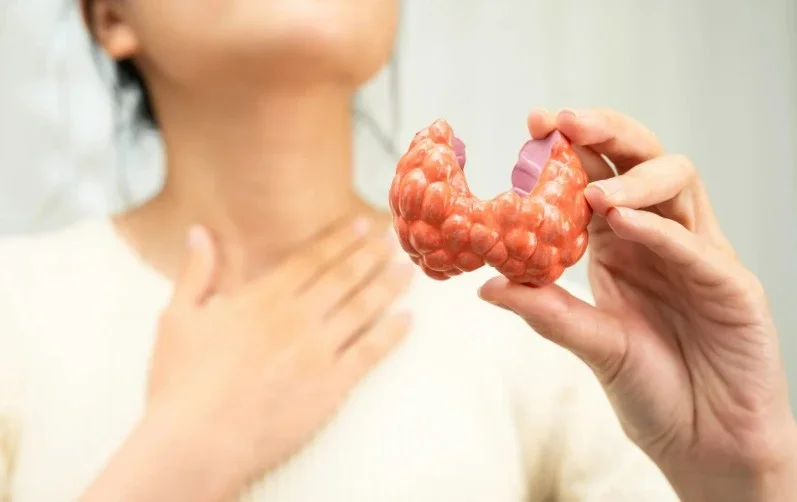 Tiroit Hormonu Testi Nedir? Ne Zaman Yapılır?