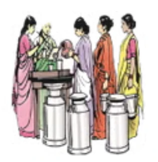 MWCD APP APK Download for Android