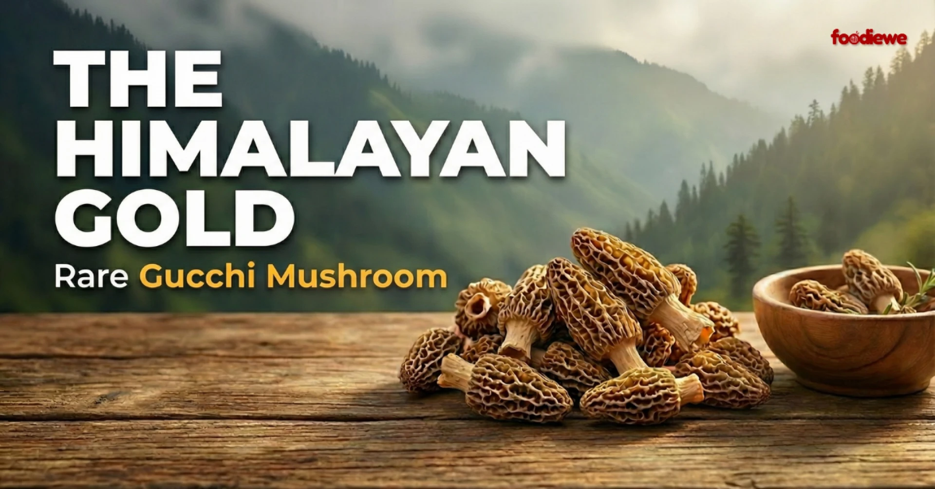 Health Benefits of Gucchi Mushroom | Price in India