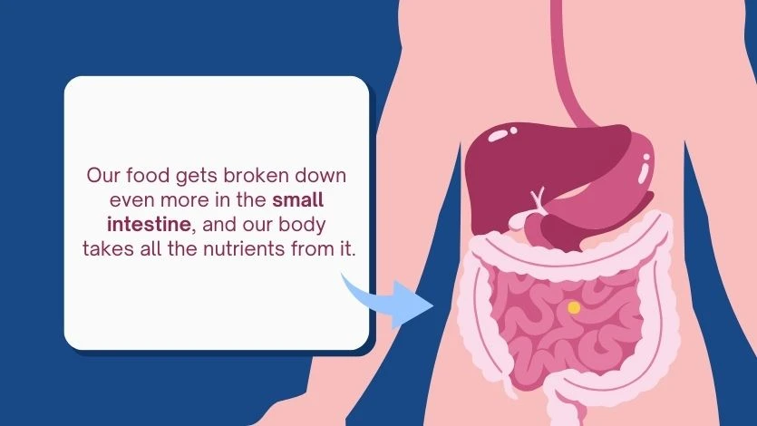 Signs of an Unhealthy Liver You Should Never Ignore