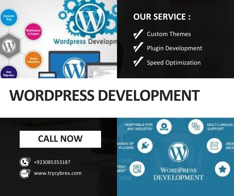 How Professional WordPress Development Can Boost Your Business Growth