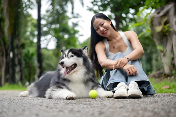 Why Do Dogs Love Tennis Balls: Uncovering the Reasons