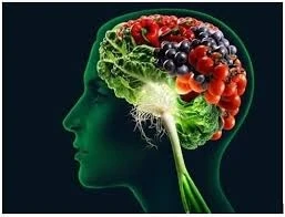Healing Foods for Brain Cancer Stage 2: Strengthening the Body & Mind