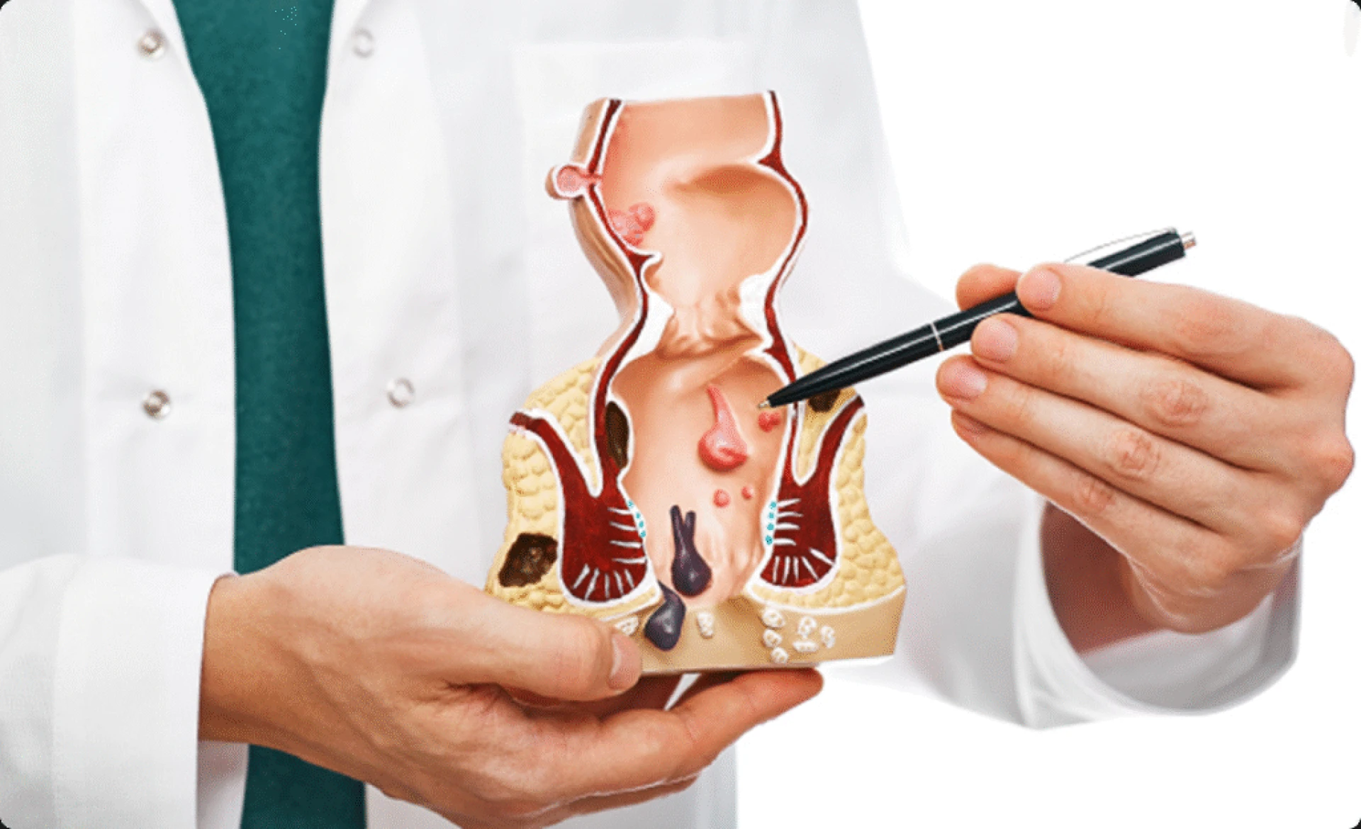 The Role of Moringa and Aloe Vera in Supporting Digestive Health