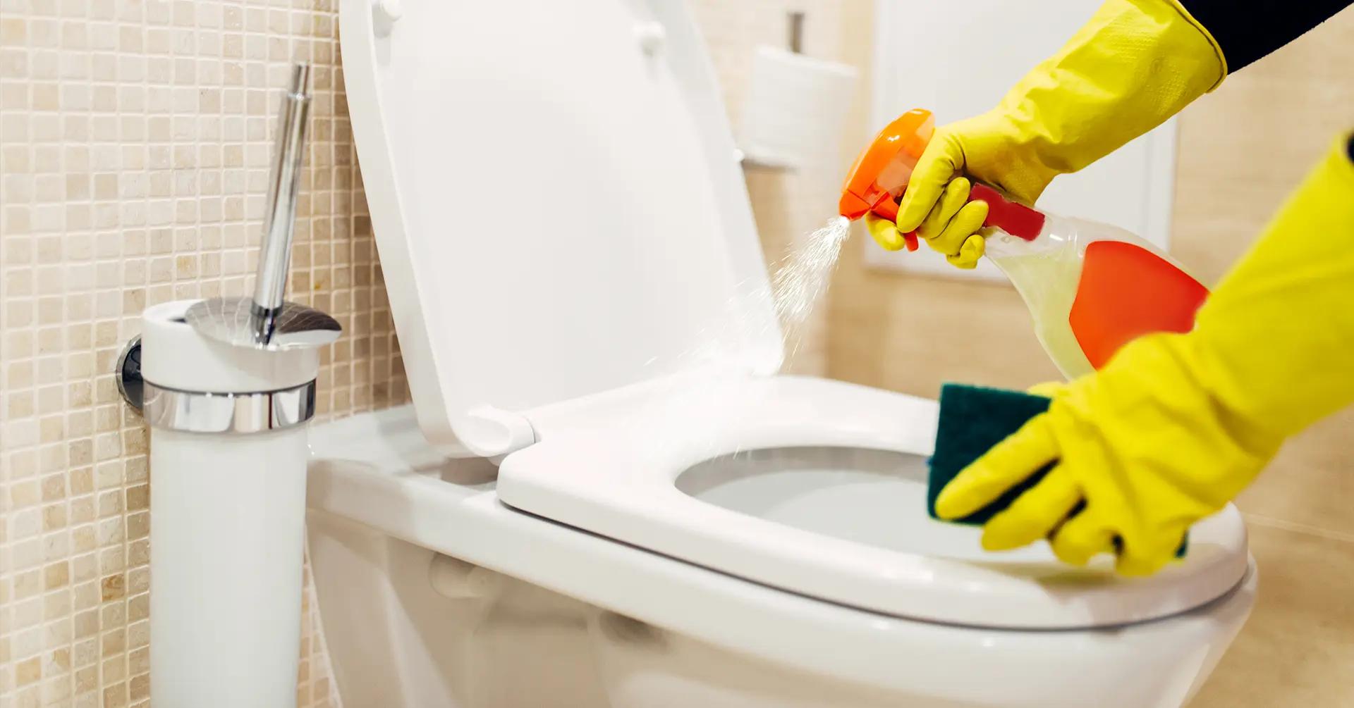 The Ultimate Toilet Cleaning Guide: DIY tips that work and when to call InstaService