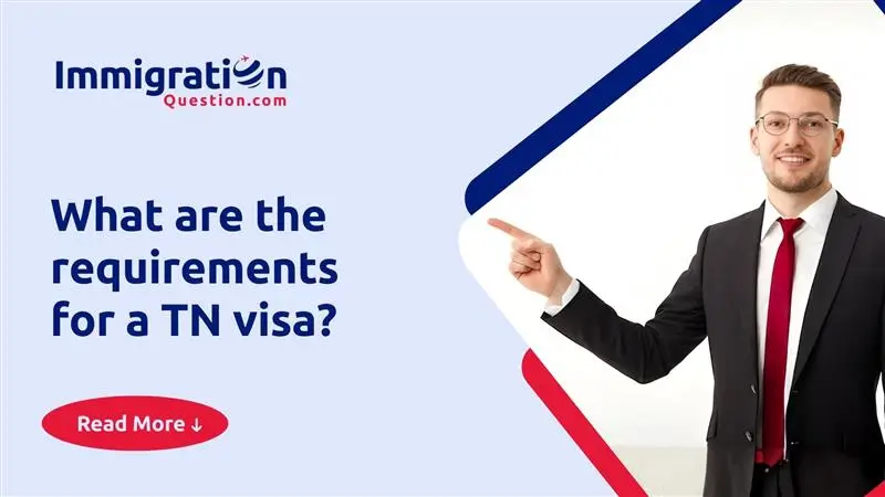 What Are the Requirements for a TN Visa? 