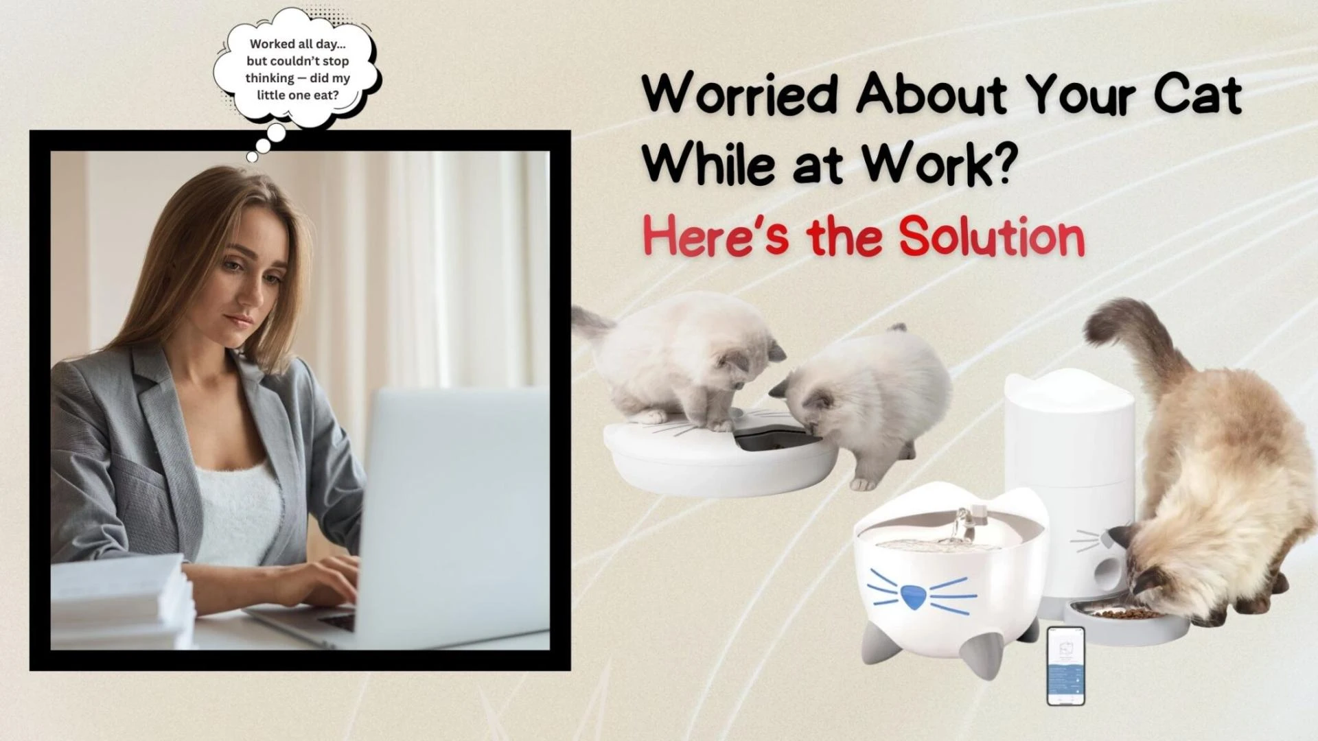 Worried About Your Cat Care While at Work? Here’s the Solution