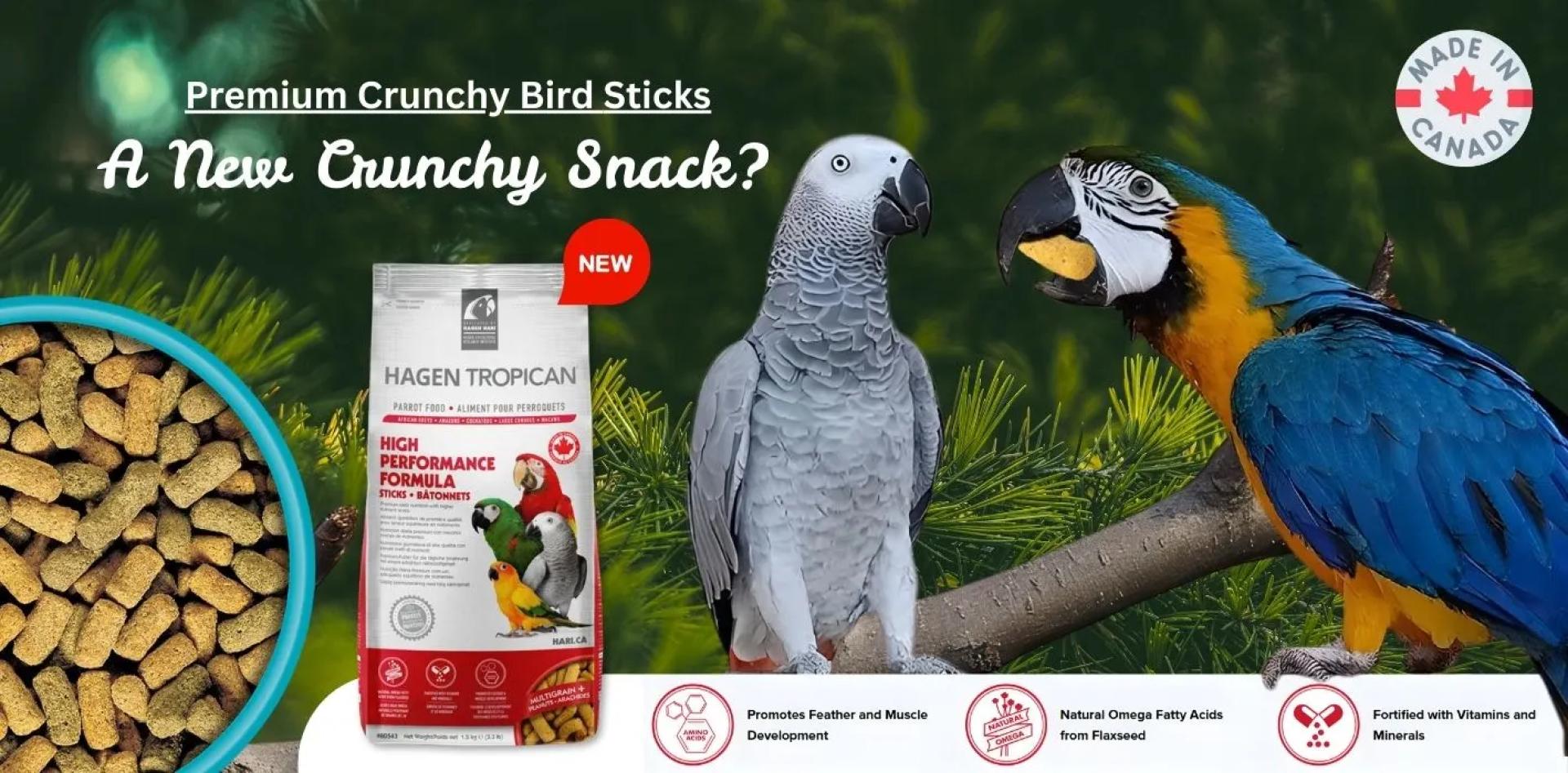 A New Crunchy Snack for Parrots – HARI Tropican Parrot Sticks