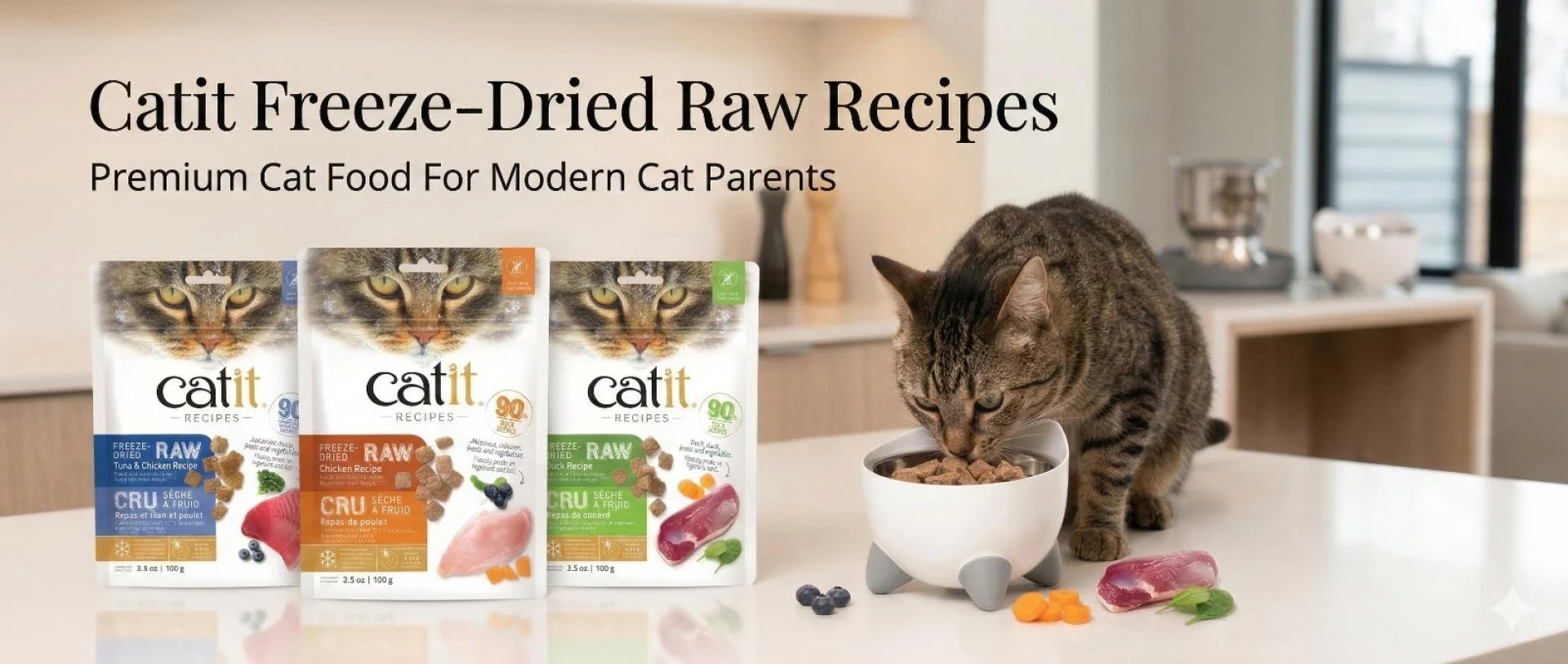 Make Mealtime Better with Premium Cat Food in India – Discover Catit Freeze-Dried Raw Recipes