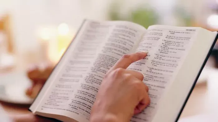 freebiblestudyhub screenshot