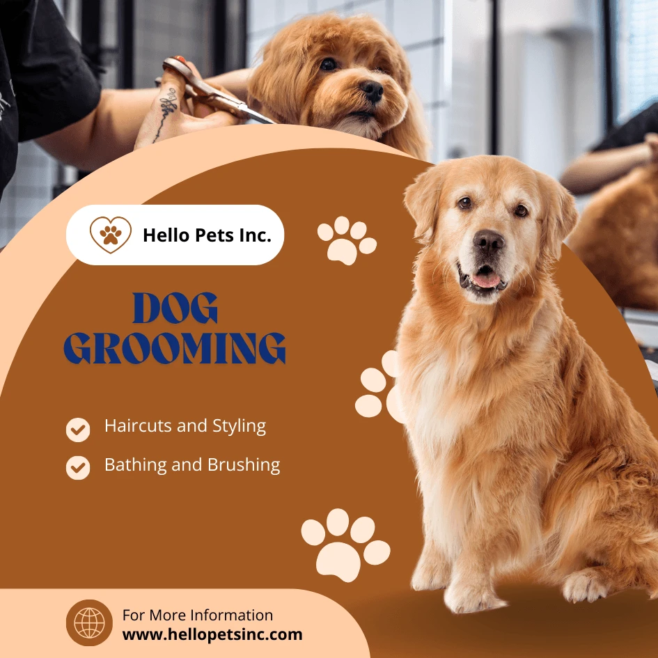 The Importance of Regular Dog Grooming