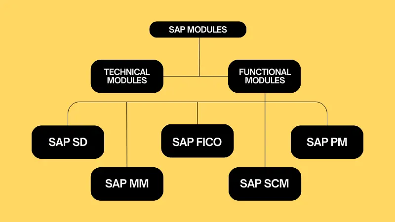 IT Career for Finance graduates