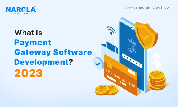 What are the Benefits of Developing Your Own Payment Gateway Solution?