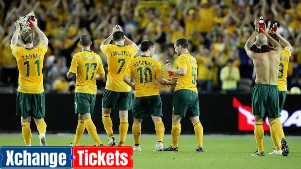 Take a look before the 2022 FIFA World Cup in Qatar South Africa's FIFA 2010 Competition Profile