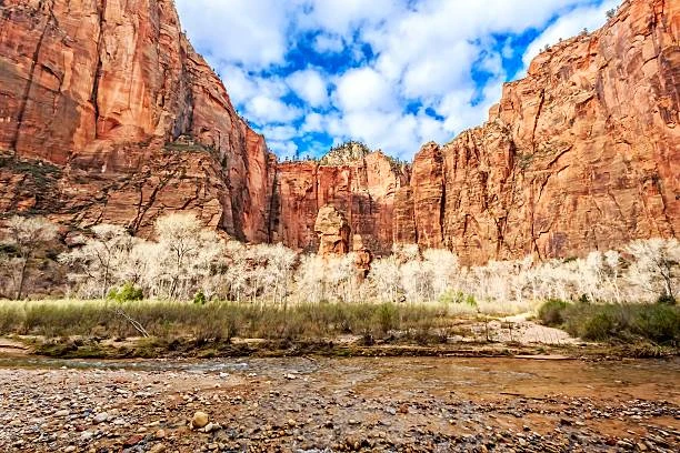 Temple of Sinawava: Exploring Zion National Park's Enchanting Riverside Oasis