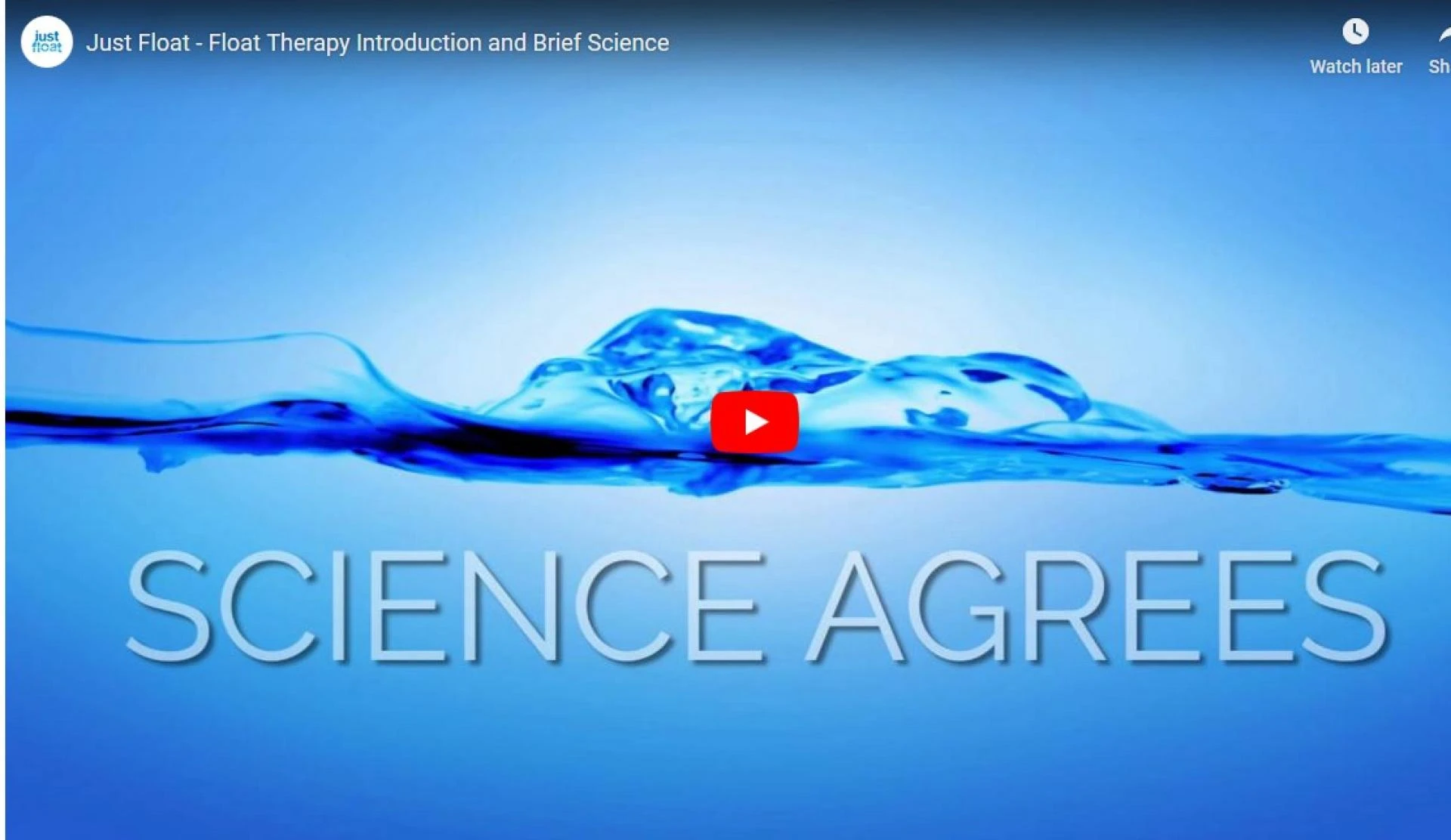 Therapeutic Massage Services by a Licensed Team