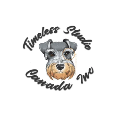 Explore the graphic designing services at Timeless studio!