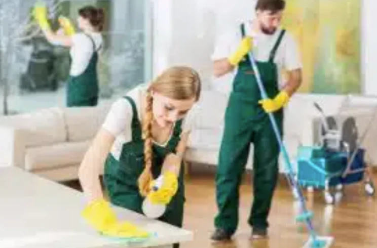 Servicios de Limpieza del Hogar y Personal de Construcción: Mantén tu Hogar en Perfecto Estado